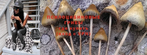 скорость mdpv Бородино
