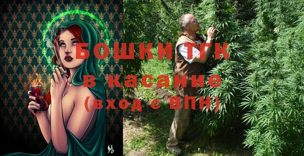 дмт Верея