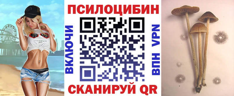 Галлюциногенные грибы прущие грибы  ссылка на мегу как зайти  Качканар 